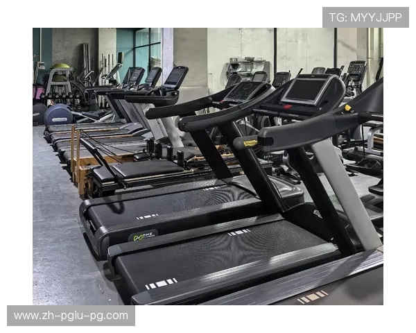 高原特色健身设备：云南力量训练器材专业测评